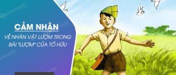 Cảm nhận về nhân vật Lượm trong bài thơ Lượm