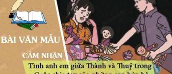 Cảm nhận về tình anh em giữaThành và Thuỷ trong Cuộc chia tay của những con búp bê