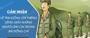 Cảm nhận về tình đồng chí thiêng liêng giữa những người lính Cách mạng trong bài thơ Đồng Chí