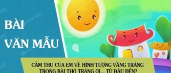 Cảm thụ của em về hình tượng vầng trăng trong bài thơ Trăng ơi… từ đâu đến?