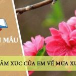 Cảm xúc của em về mùa xuân