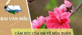 Cảm xúc của em về mùa xuân