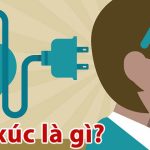 Cảm xúc là gì? Các loại cảm xúc cơ bản của con người