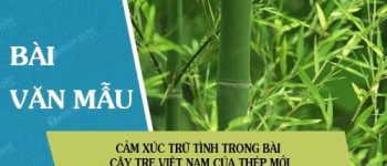 Cảm xúc trữ tình trong bài Cây tre Việt Nam của Thép Mới