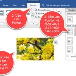 Canh chỉnh vị trí hình ảnh trong word