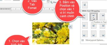 Canh chỉnh vị trí hình ảnh trong word