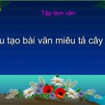 Cấu tạo bài văn miêu tả cây cối bao gồm mấy phần? – Tiếng Việt 4