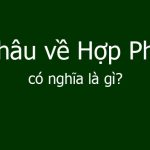 Châu về Hợp Phố có nghĩa là gì?