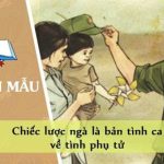 Chiếc lược ngà là bản tình ca về tình phụ tử