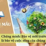 Chứng minh bảo vệ môi trường là bảo vệ cuộc sống của chúng ta