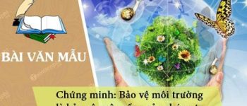 Chứng minh bảo vệ môi trường là bảo vệ cuộc sống của chúng ta