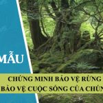 Chứng minh Bảo vệ rừng là bảo vệ cuộc sống của chúng ta