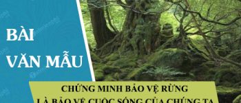 Chứng minh Bảo vệ rừng là bảo vệ cuộc sống của chúng ta