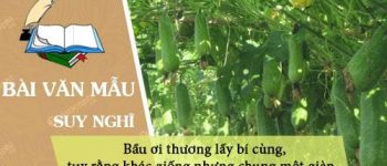 Chứng minh câu ca dao Bầu ơi thương lấy bí cùng, tuy rằng khác giống nhưng chung một giàn