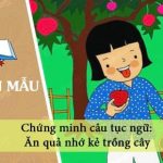 Chứng minh câu tục ngữ Ăn quả nhớ kẻ trồng cây