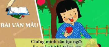 Chứng minh câu tục ngữ Ăn quả nhớ kẻ trồng cây