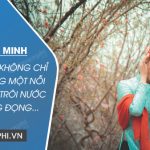 Chứng minh nhận định: Không chỉ mang nặng một nỗi niềm, Bánh trôi nước còn lắng đọng một cái nhìn Xuân Hương về phận đàn bà trong xã hội xưa cũ