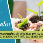 Chứng minh rằng đời sống của chúng ta sẽ bị tổn hại rất lớn nếu mỗi người không có ý thức bảo vệ môi trường sống