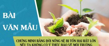 Chứng minh rằng đời sống của chúng ta sẽ bị tổn hại rất lớn nếu mỗi người không có ý thức bảo vệ môi trường sống