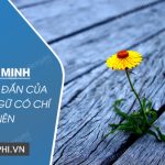 Chứng minh tính đúng đắn của câu tục ngữ Có chí thì nên