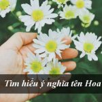 Con gái tên Hoa có ý nghĩa gì? Những tên Hoa hay nhất cho bé