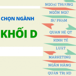 Con gái thi khối D nên học ngành gì?