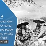 Dàn ý cách xây dựng hình tượng người nông dân trong hai đoạn trích Lão Hạc và Tức nước vỡ bờ