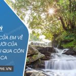 Dàn ý cảm nghĩ của em về con người của Nguyễn Trãi qua Côn Sơn caDàn ý cảm nghĩ của em về con người của Nguyễn Trãi qua Côn Sơn ca