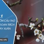 Dàn ý cảm nhận bốn câu thơ đầu trong đoạn trích Cảnh ngày xuân