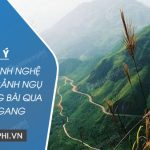 Dàn ý chứng minh nghệ thuật tả cảnh ngụ tình trong bài Qua đèo Ngang