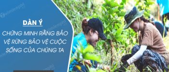 Dàn ý Chứng minh rằng bảo vệ rừng bảo vệ cuộc sống của chúng ta