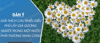 Dàn ý Giải thích câu Nhiễu điều phủ lấy giá gương, người trong một nước phải thương nhau cùng