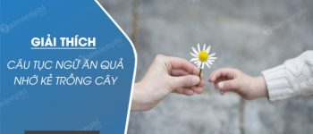 Dàn ý Giải thích câu tục ngữ Ăn quả nhớ kẻ trồng cây