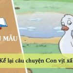 Dàn ý kể lại câu chuyện Con vịt xấu xí