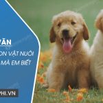 Dàn ý Kể về một con vật nuôi trong nhà mà em biết