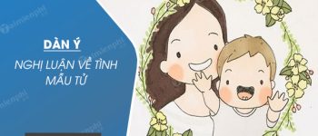 Dàn ý nghị luận về tình mẫu tử