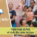 Dàn ý nghị luận xã hội về chất độc màu da cam