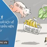 Dàn ý nghị luận xã hội về thực phẩm bẩn hiện nay