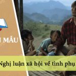 Dàn ý nghị luận xã hội về tình phụ tử