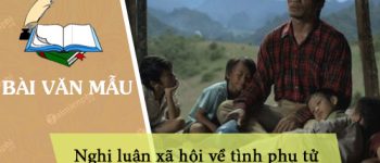 Dàn ý nghị luận xã hội về tình phụ tử