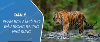 Dàn ý phân tích 2 khổ thơ đầu trong bài thơ Nhớ rừng