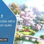 Dàn ý phân tích đoạn trích Cảnh ngày xuân