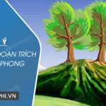 Dàn ý phân tích đoạn trích Hai cây phong