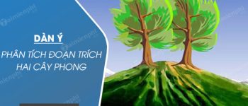 Dàn ý phân tích đoạn trích Hai cây phong