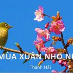 Dàn ý phân tích tác phẩm Mùa xuân nho nhỏ của Thanh Hải hay nhất (11 mẫu)