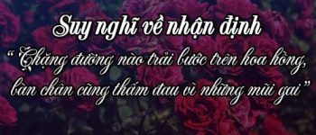 Dàn ý suy nghĩ về nhận định: Chặng đường nào trải bước trên hoa hồng, bàn chân cũng thấm đau vì những mũi gai