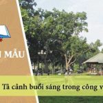 Dàn ý tả cảnh buổi sáng trong công viên