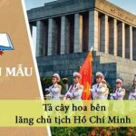 Dàn ý tả cây hoa bên lăng chủ tịch Hồ Chí Minh