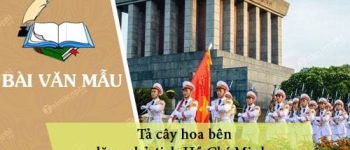 Dàn ý tả cây hoa bên lăng chủ tịch Hồ Chí Minh