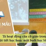 Dàn ý tả hoạt động của cô giáo trong một tiết học hoặc một buổi học lớp em